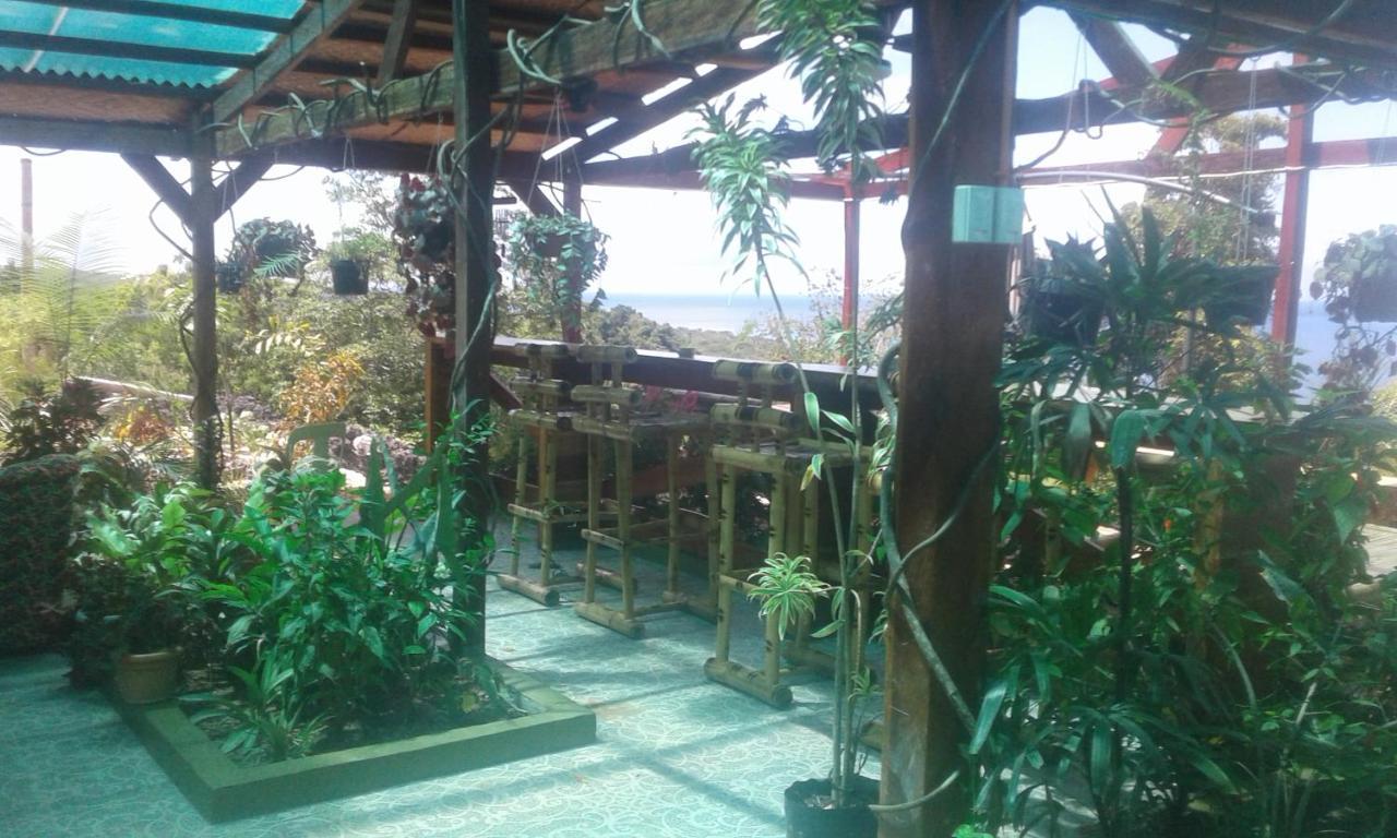 Jungle Of Peace Resort Siquijor Exterior photo