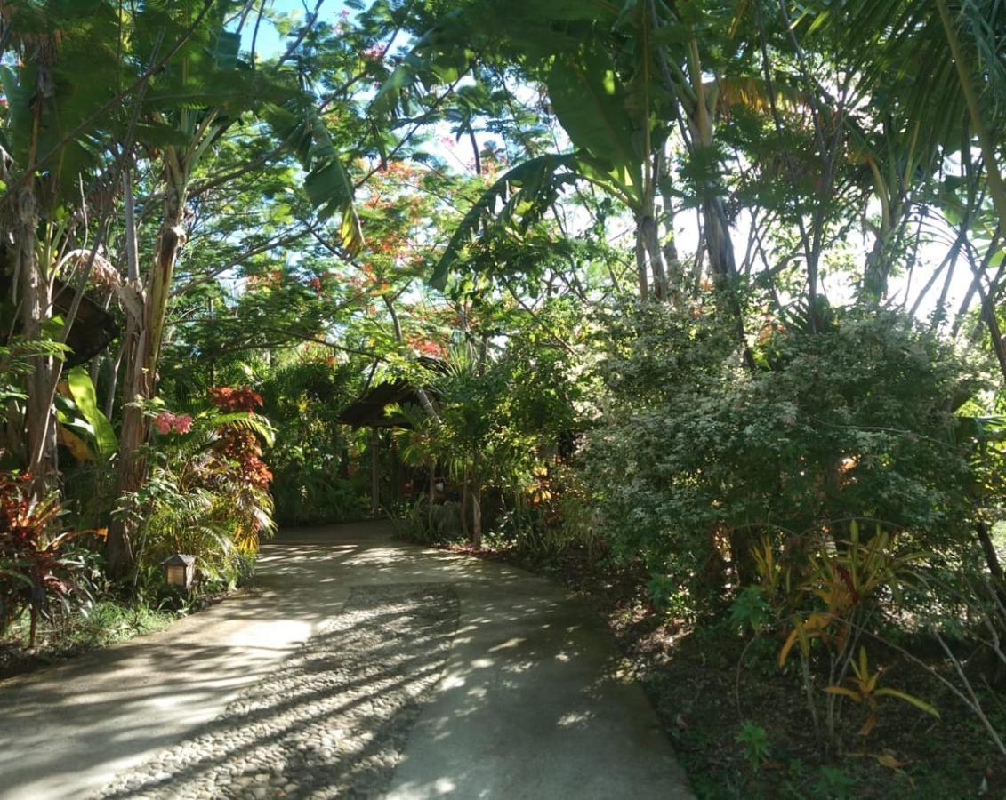 Jungle Of Peace Resort Siquijor Exterior photo