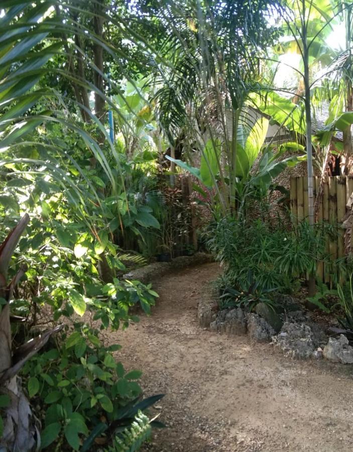 Jungle Of Peace Resort Siquijor Exterior photo